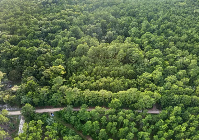 2nd image of 0 Greenwood, Adams Run, SC 29426 | MLS# 26023901