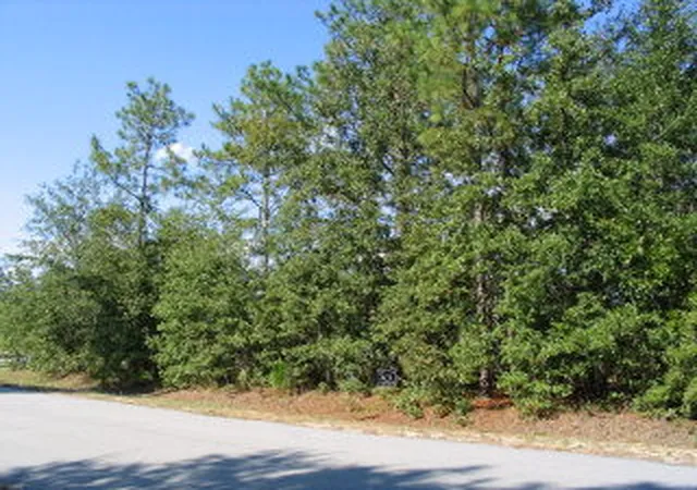 Photo 1 of Sale Pending at 0 Shore Dr #Lot 30, Orangeburg, SC 29118 | MLS# 24022411 | Listing updated on 2024-10-14