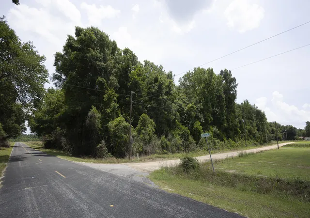 Homes for sale in Manning, SC | 4 Joseph Lemon And Dingle Rd, Manning, SC 29102 | MLS# 26017588