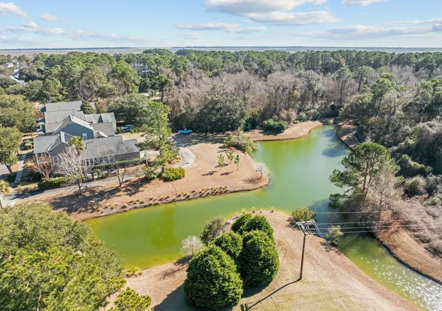 27th image of 2971 Treadwell St, Mount Pleasant, SC 29466 | MLS# 26024071