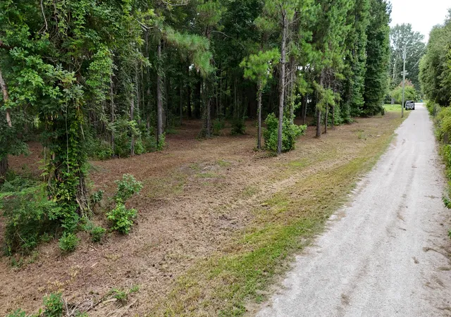 14th image of 0 Pinckney Rd #B, Johns Island, SC 29455 | MLS# 26021154