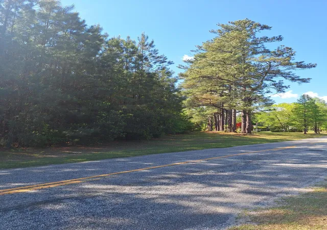 Photo 1 of Land at 0 Lebanon Rd, Ridgeville, SC 29472 | MLS# 26010395 | | Sold on 2026-07-31