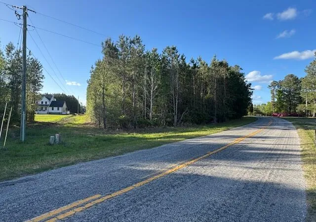 Photo 2 of Land at 0 Lebanon Rd, Ridgeville, SC 29472 | MLS# 26010395 | | Sold on 2026-07-31