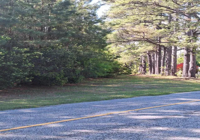 Photo 3 of Land at 0 Lebanon Rd, Ridgeville, SC 29472 | MLS# 26010395 | | Sold on 2026-07-31