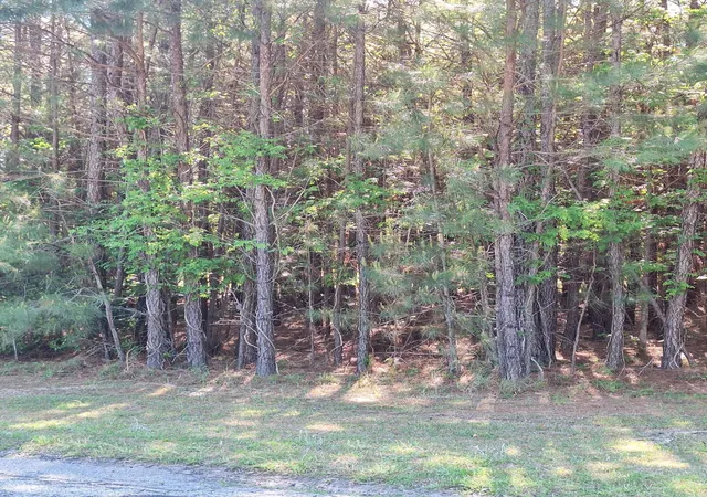 Photo 4 of Land at 0 Lebanon Rd, Ridgeville, SC 29472 | MLS# 26010395 | | Sold on 2026-07-31