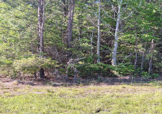 Photo 5 of Land at 0 Lebanon Rd, Ridgeville, SC 29472 | MLS# 26010395 | | Sold on 2026-07-31