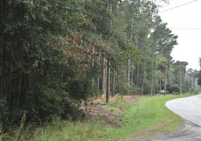 Homes for sale in Hemingway, SC | Lot 14 Tupperware Rd, Hemingway, SC 29554 | MLS# 25024691