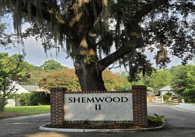 1st image of 1005 Jack Snipe Ln, Mount Pleasant, SC 29464 | MLS# 26022127