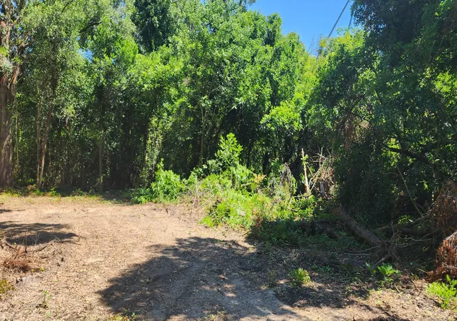 5th image of 336 Railroad Ave, Holly Hill, SC 29059 | MLS# 26016311