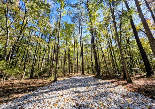 1st image of 3047 Fickling Hill Rd #C-1, Johns Island, SC 29455 | MLS# 25030213