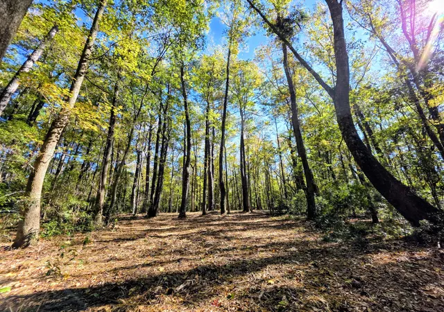 2nd image of 3047 Fickling Hill Rd #C-1, Johns Island, SC 29455 | MLS# 25030213