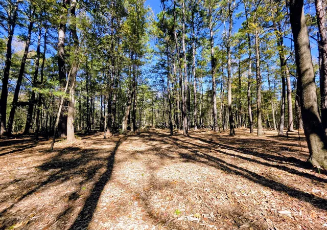 3rd image of 3047 Fickling Hill Rd #C-1, Johns Island, SC 29455 | MLS# 25030213