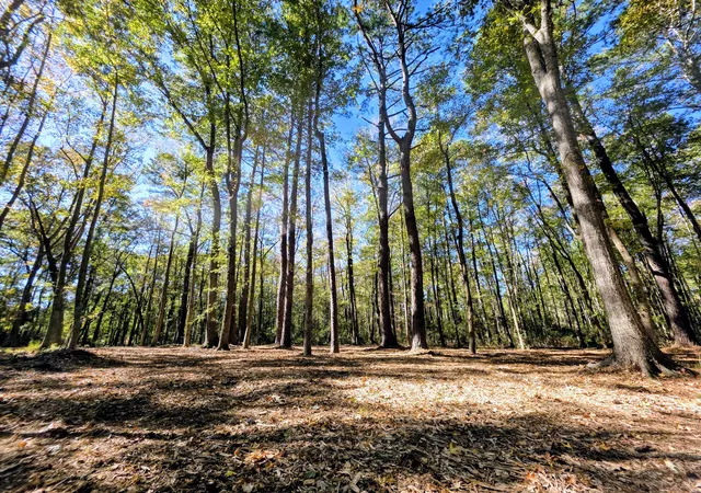 4th image of 3047 Fickling Hill Rd #C-1, Johns Island, SC 29455 | MLS# 25030213