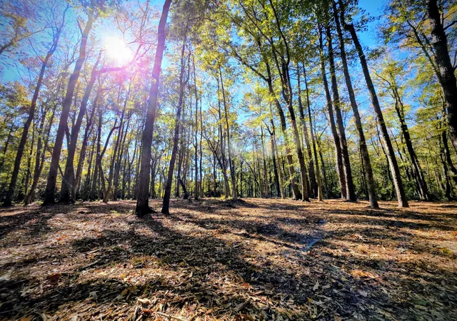 5th image of 3047 Fickling Hill Rd #C-1, Johns Island, SC 29455 | MLS# 25030213