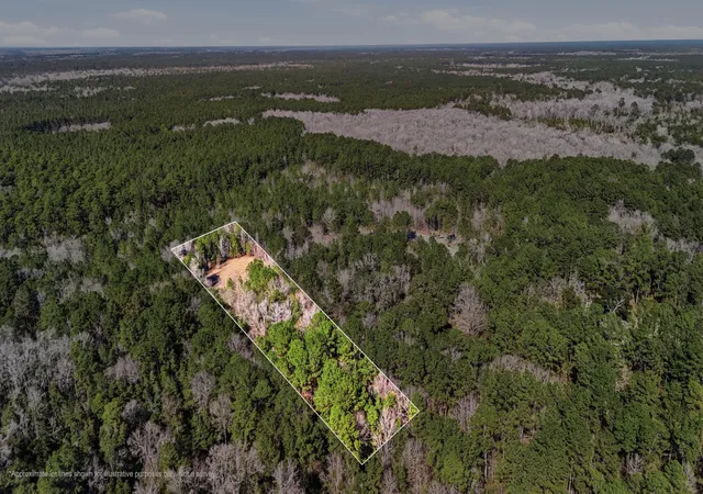 Photo 2 of Land for sale at 0 Gertie Ln, Cordesville, SC 29434 | MLS# 26003940 | Listing updated on 2026-07-23