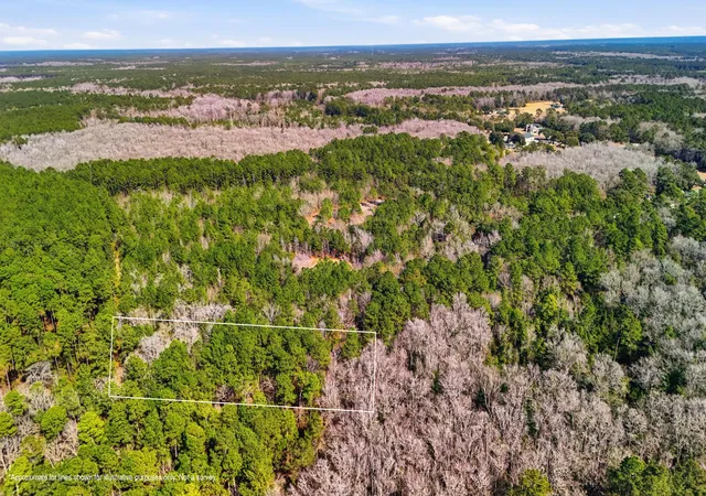 Photo 3 of Land for sale at 0 Gertie Ln, Cordesville, SC 29434 | MLS# 26003940 | Listing updated on 2026-07-23