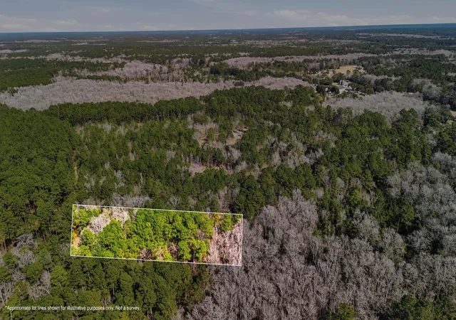 Photo 3 of Land for sale at 0 Gertie Ln, Cordesville, SC 29434 | MLS# 26003940 | Listing updated on 2026-07-23