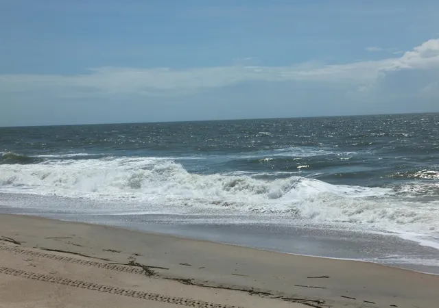 Homes for sale in Edisto Island, SC | 575 Pelican Ct, Edisto Island, SC 29438 | MLS# 26015616