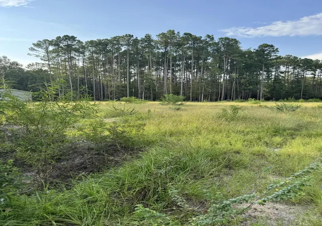 image of 000 Saturn, Walterboro, SC 29488 | MLS# 26023236