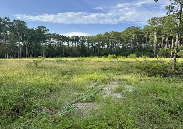 image of 000 Saturn, Walterboro, SC 29488 | MLS# 26023236