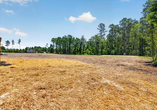 37th image of 1658 Calamus Pond Rd, Summerville, SC 29486 | MLS# 26019140