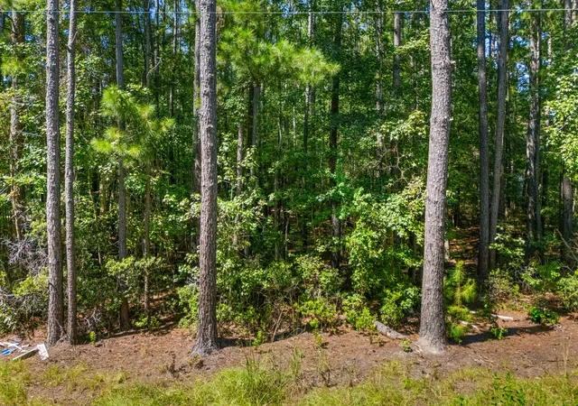 14th image of Lot 90 Ponderosa Rd, Summerville, SC 29483 | MLS# 26008262