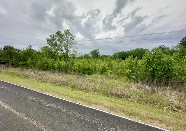 Homes for sale in Pinewood, SC | Tbd Chewning Rd, Pinewood, SC 29125 | MLS# 26013187