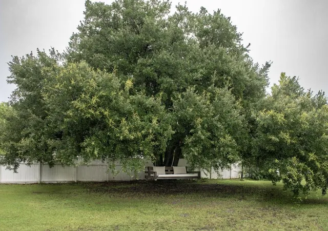 52nd image of 230 Winchime Ct, Moncks Corner, SC 29461 | MLS# 26021359