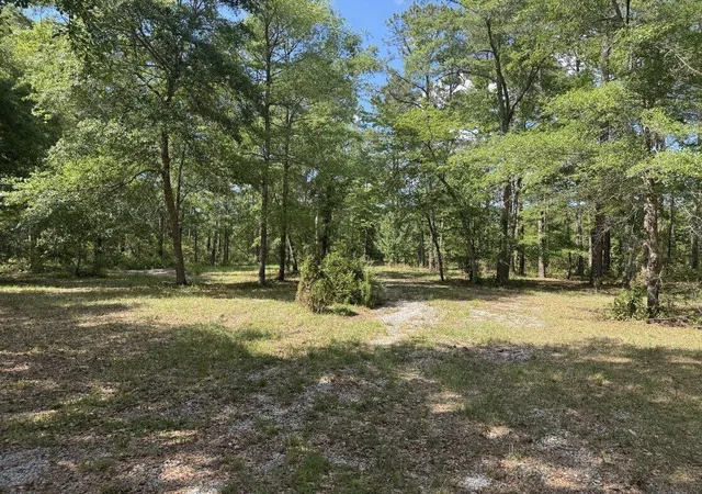 image of 3452 Cypress Pond Rd, Walterboro, SC 29488 | MLS# 26017997