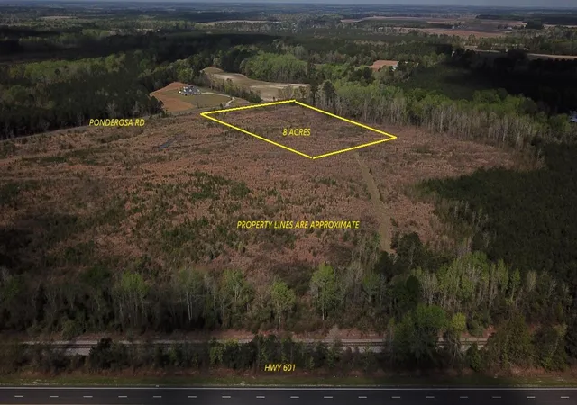 Homes for sale in Saint Matthews, SC | 00 Ponderosa Rd, Saint Matthews, SC 29135 | MLS# 26018629