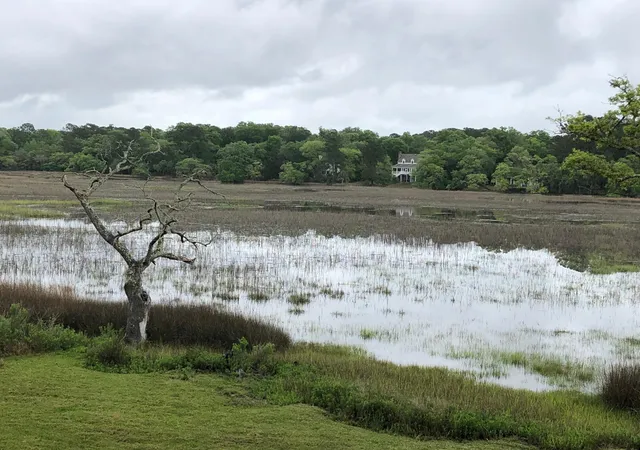 Photo 61 of Single family home for sale at 8539 Pope Landing Rd, Edisto Island, SC 29438 | MLS# 26024540 | Listing updated on 2026-09-04