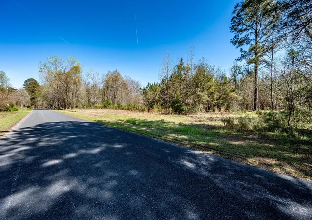 Photo 2 of Land at Tbd Buckhead Rd, Smoaks, SC 29481 | MLS# 26007598 | | Sold on 2026-08-14
