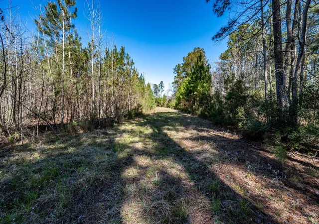 Photo 4 of Land at Tbd Buckhead Rd, Smoaks, SC 29481 | MLS# 26007598 | | Sold on 2026-08-14