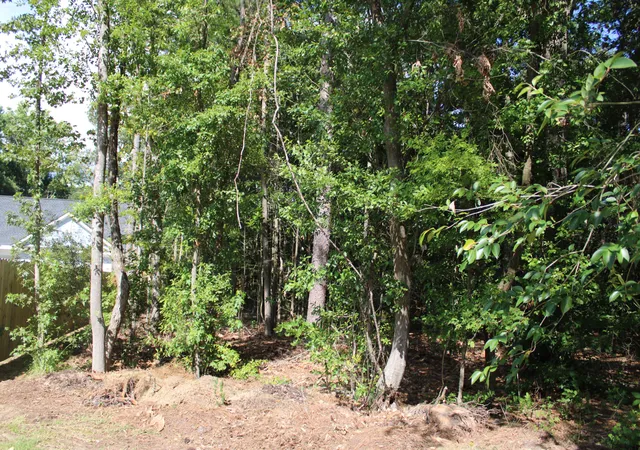 3rd image of 9122 State Rd S-10-1224, North Charleston, SC 29406 | MLS# 26019721