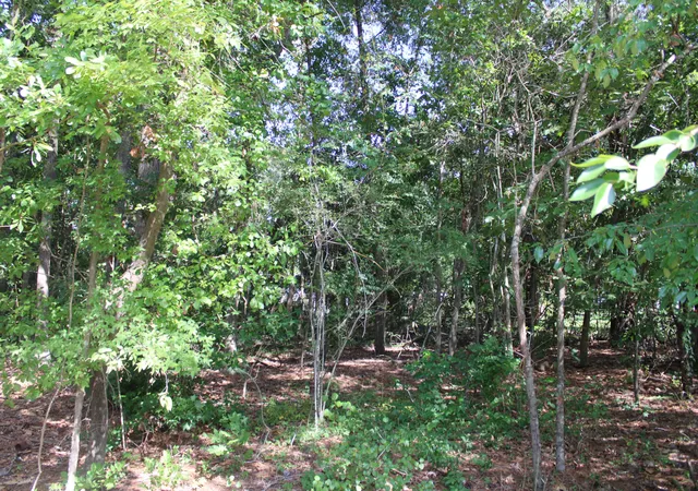 4th image of 9122 State Rd S-10-1224, North Charleston, SC 29406 | MLS# 26019721