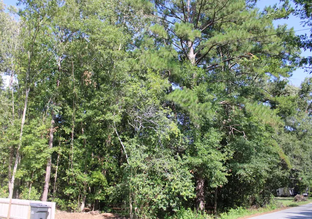 6th image of 9122 State Rd S 10 1224, North Charleston, SC 29406 | MLS# 26019721