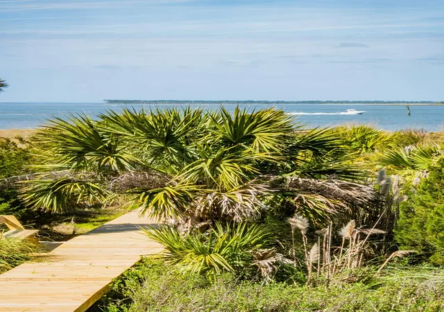 Homes for sale in Edisto Island, SC | 3616 Yacht Club Rd, Edisto Island, SC 29438 | MLS# 26018895
