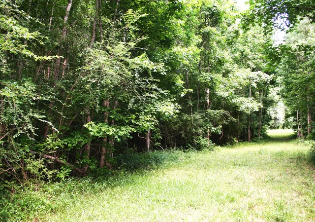 2nd image of 0 Kitfield Rd, Moncks Corner, SC 29461 | MLS# 26014555
