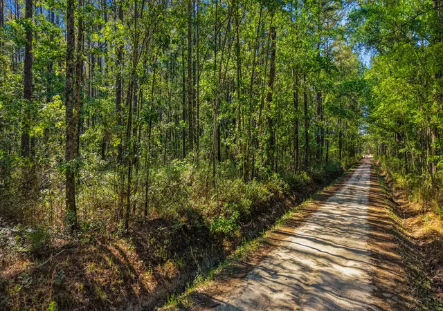 Photo 2 of Land for sale at 0 Crews Cemetery Rd, Varnville, SC 29944 | MLS# 26011716 | Listing updated on 2026-09-14