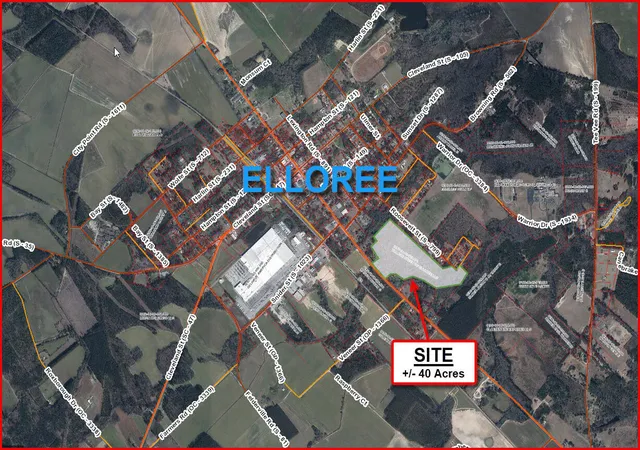 Homes for sale in Elloree, SC | 0 Old Number 6 Hwy, Elloree, SC 29047 | MLS# 25027254