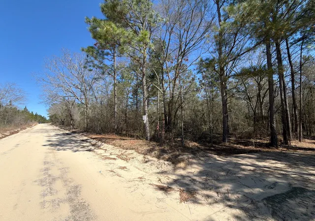 Photo 1 of Land for sale at Bhl 13 Boise Cascade #BHL13, Bethune, SC 29009 | MLS# 26008332 | Listing updated on 2026-03-25