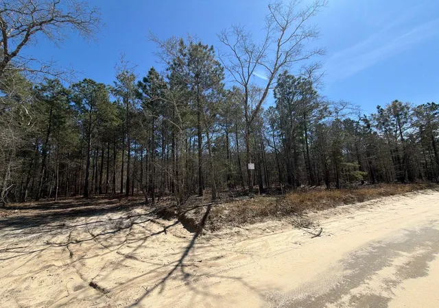 Photo 36 of Land for sale at Bhl 13 Boise Cascade #BHL13, Bethune, SC 29009 | MLS# 26008332 | Listing updated on 2026-03-25