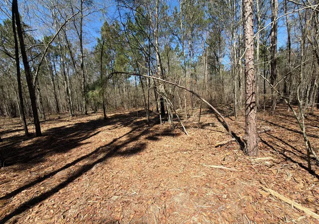Photo 3 of Land for sale at Bhl 13 Boise Cascade #BHL13, Bethune, SC 29009 | MLS# 26008332 | Listing updated on 2026-03-25