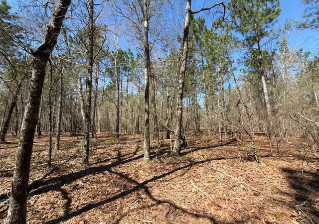 Photo 4 of Land for sale at Bhl 13 Boise Cascade #BHL13, Bethune, SC 29009 | MLS# 26008332 | Listing updated on 2026-03-25
