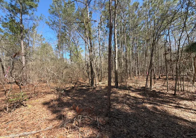 Photo 5 of Land for sale at Bhl 13 Boise Cascade #BHL13, Bethune, SC 29009 | MLS# 26008332 | Listing updated on 2026-03-25