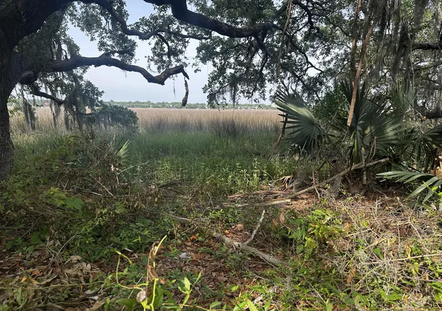 Photo 1 of Land for sale at 2342 Parsonage Rd, Charleston, SC 29414 | MLS# 25013836 | Listing updated on 2026-05-28