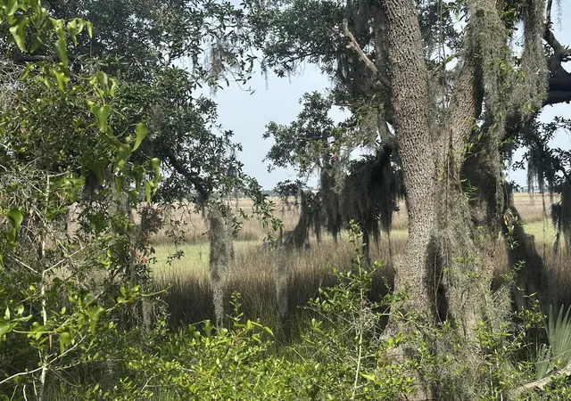 Photo 4 of Land for sale at 2342 Parsonage Rd, Charleston, SC 29414 | MLS# 25013836 | Listing updated on 2026-05-28