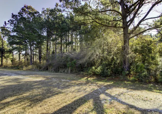 Photo 3 of Land for sale at 4 Morants Point Rd, Mc Clellanville, SC 29458 | MLS# 25001695 | Listing updated on 2026-08-25