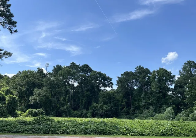 Homes for sale in Ehrhardt, SC | 0 Low Country Hwy, Ehrhardt, SC 29081 | MLS# 26018682
