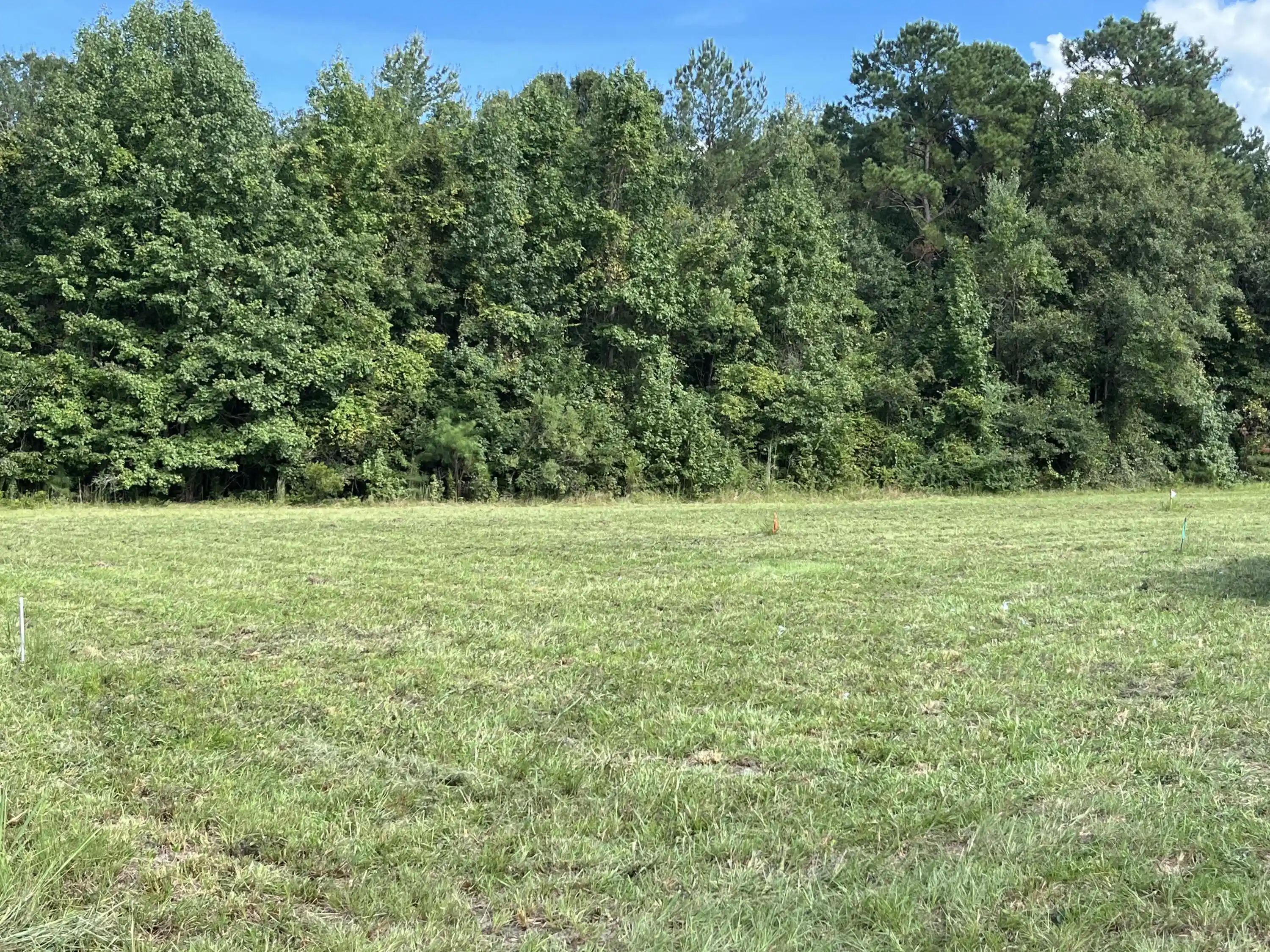 Land for sale at 00 County Line Rd, Cross, SC 29436 | MLS# 26028187